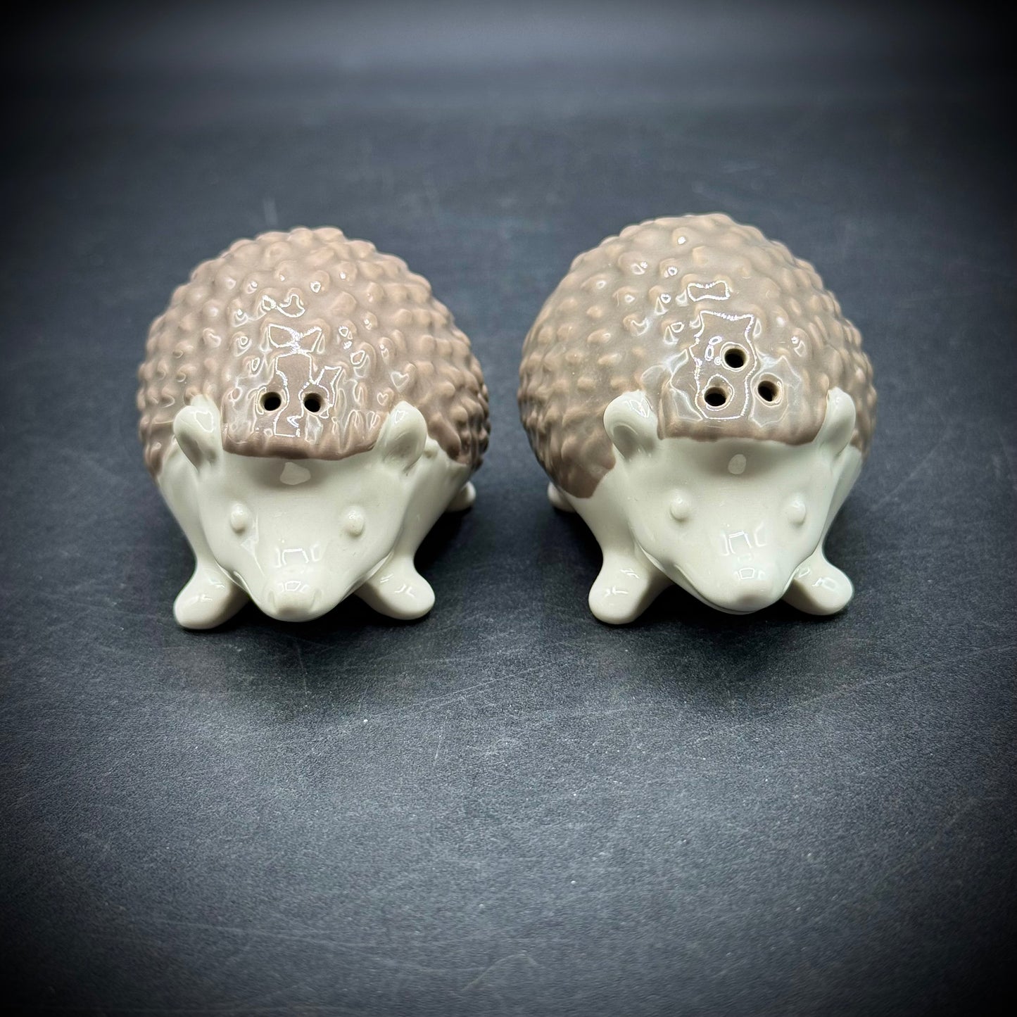 Adorable Ceramic Hedgehog S&P Set