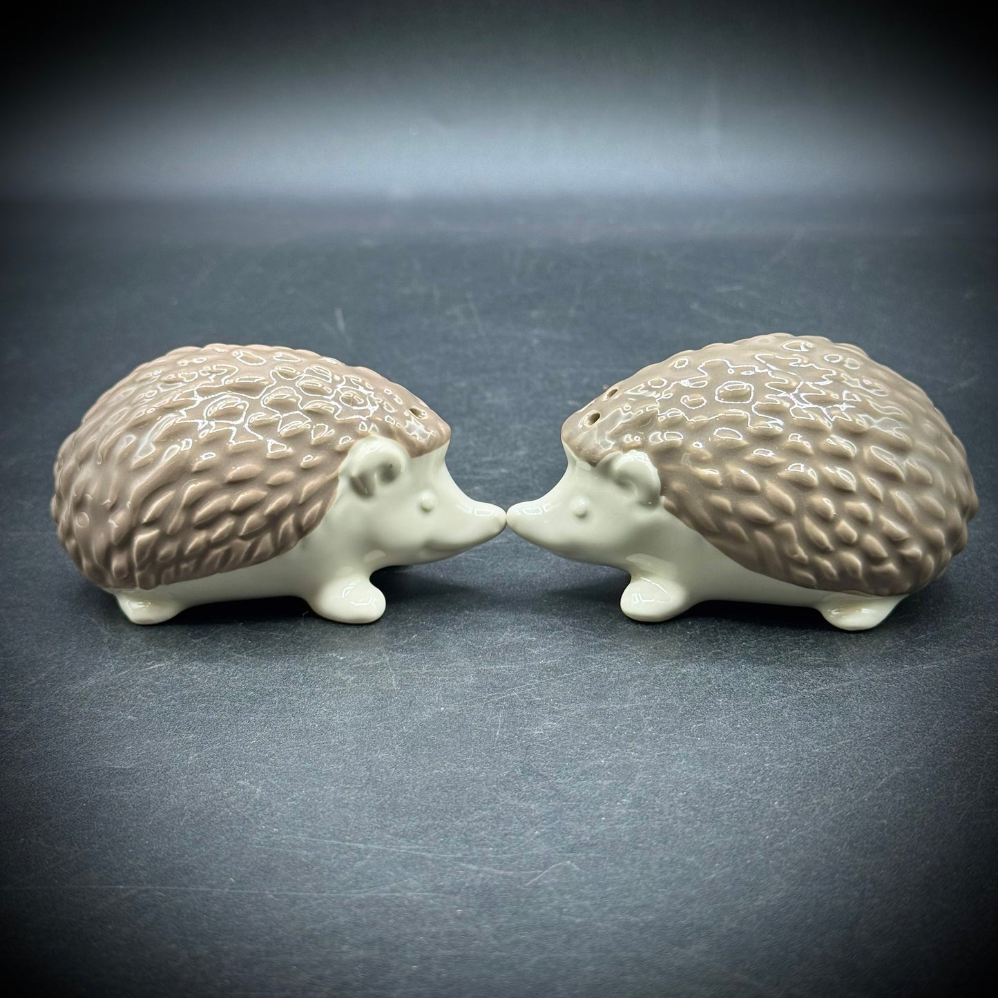 Adorable Ceramic Hedgehog S&P Set