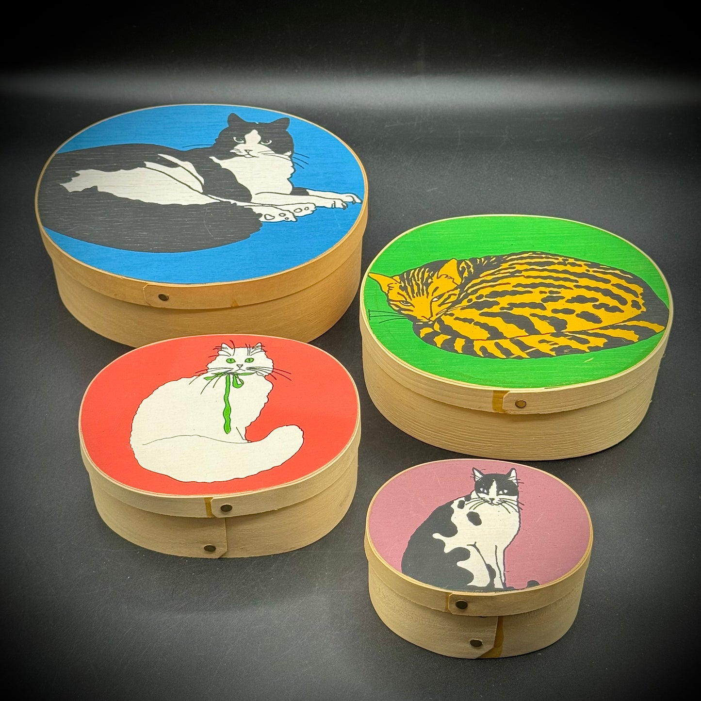 Amazing 4-Tier Cat Motif Shaker Nesting Box Set