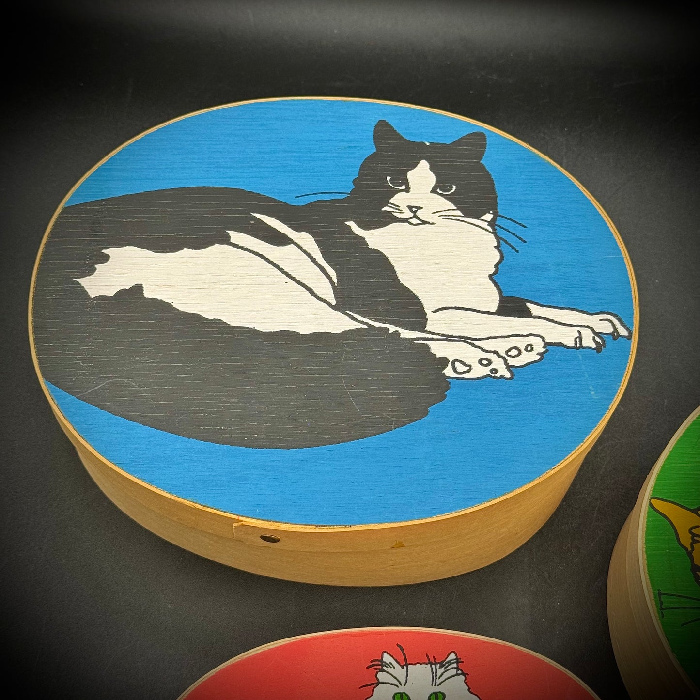 Amazing 4-Tier Cat Motif Shaker Nesting Box Set