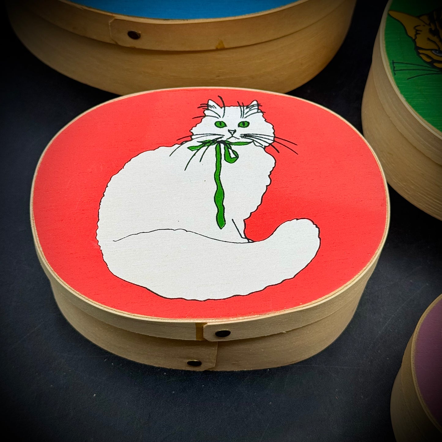 Amazing 4-Tier Cat Motif Shaker Nesting Box Set