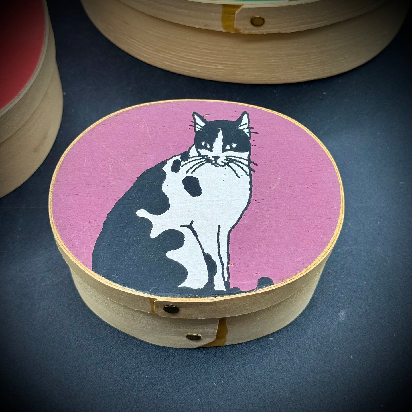 Amazing 4-Tier Cat Motif Shaker Nesting Box Set