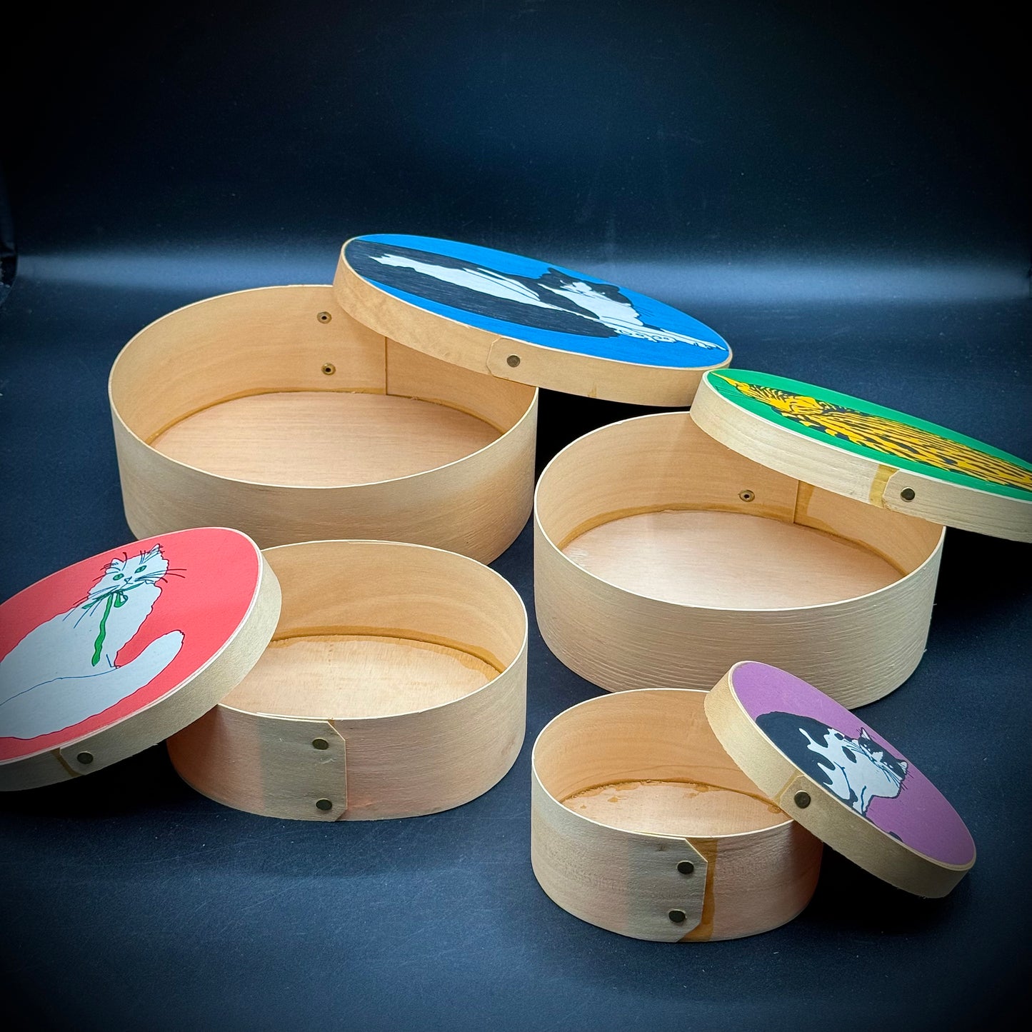 Amazing 4-Tier Cat Motif Shaker Nesting Box Set