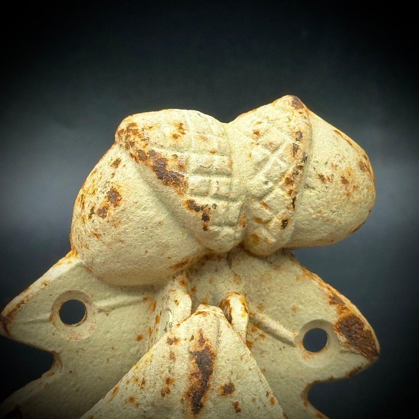 Cast Iron Shabby Chic Acorn & Leaf Door Knocker