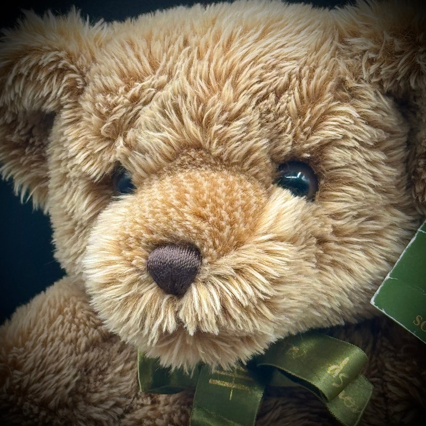 Vintage Harrod's Knightsbridge London Teddy Bear with Tag