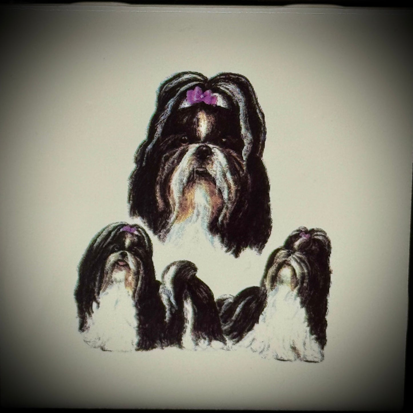 Vintage Shih Tzu Porcelain & Cast Iron Tile/Trivet