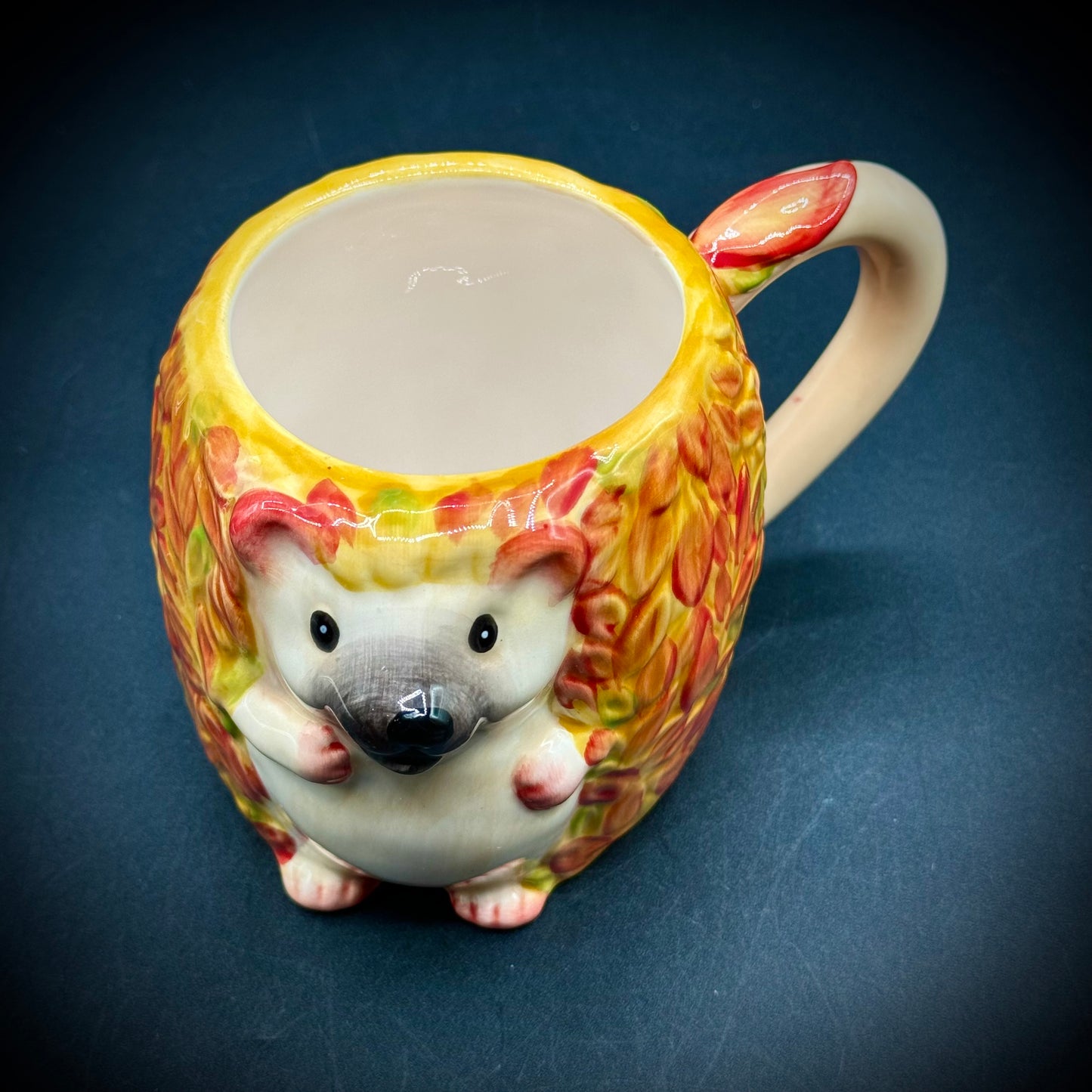 Hand Painted Dolomite Pier One Imports Hedgehog Mug New