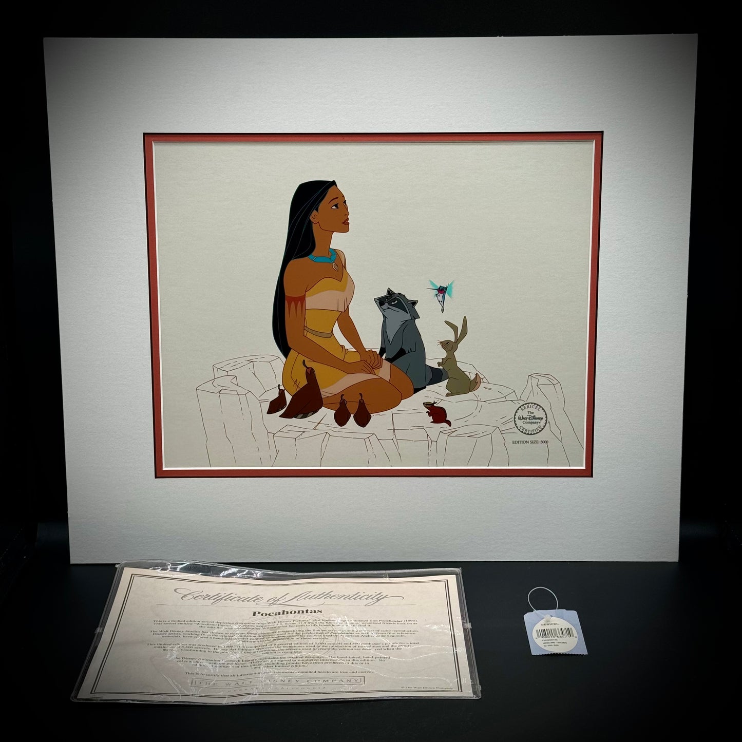 RARE Disney Original Sericel From "Pocahontas" Matted w/CoA