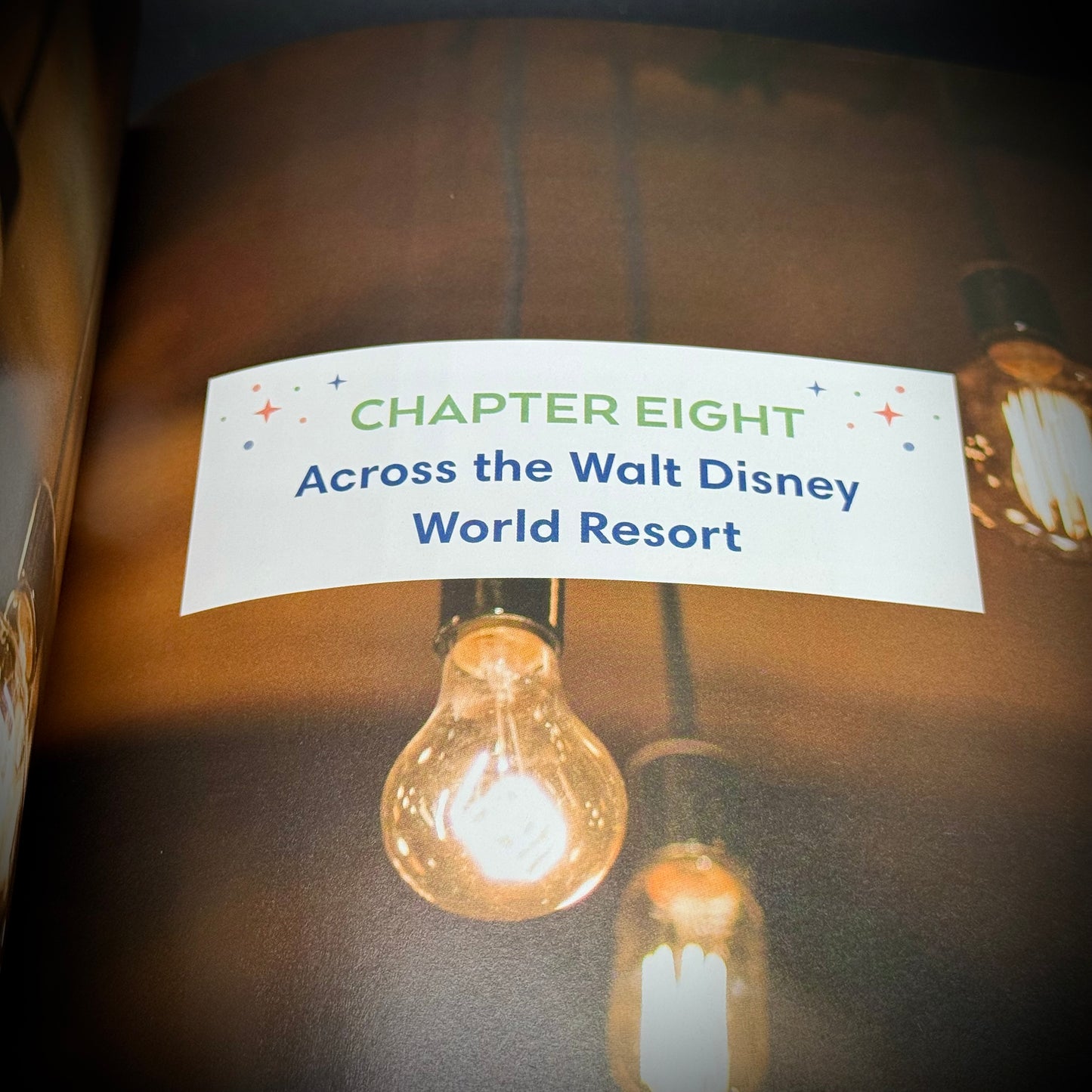 Hard Cover Official Disney Parks Cookbook