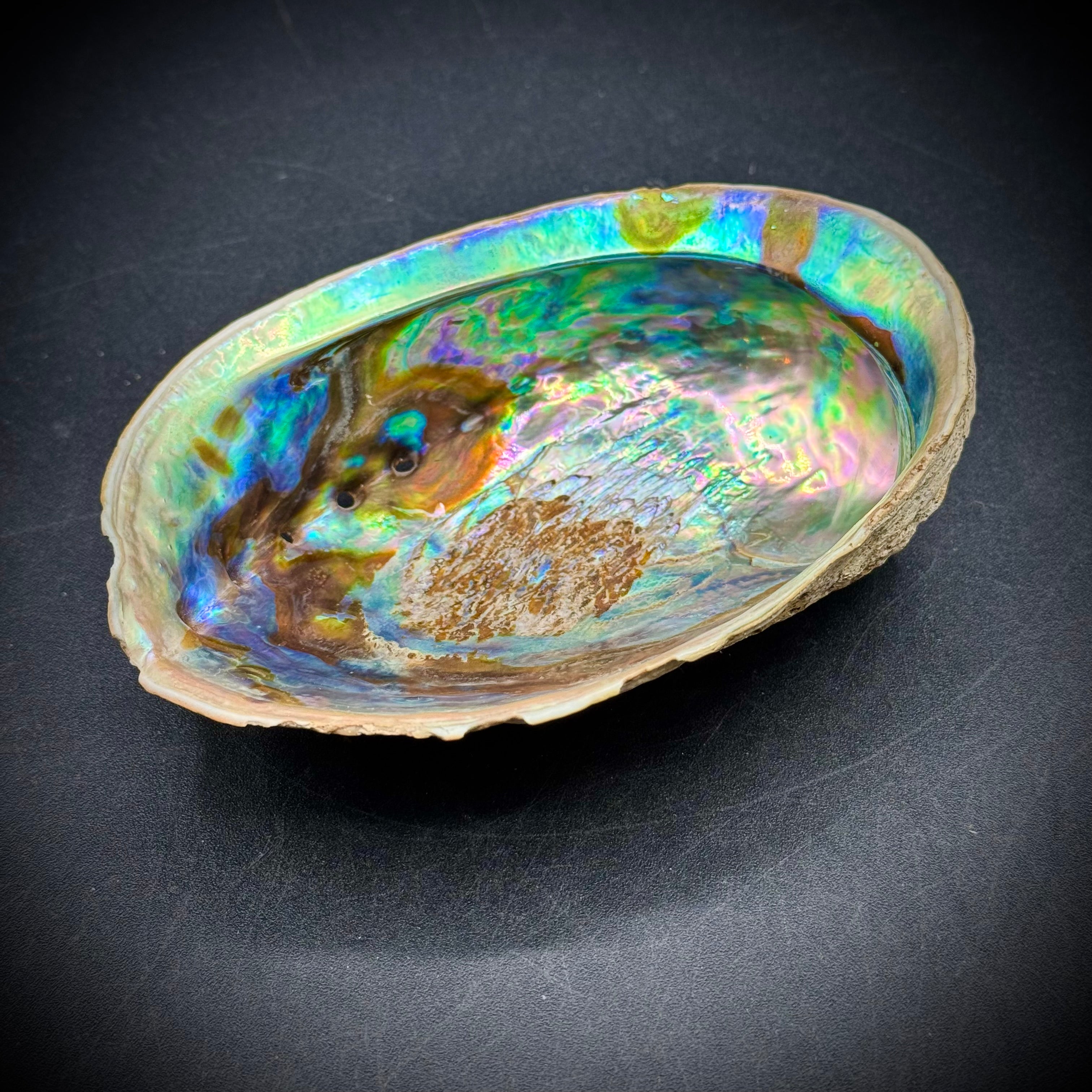 Stunning Natural Abalone Shell – Picker Road Boutique