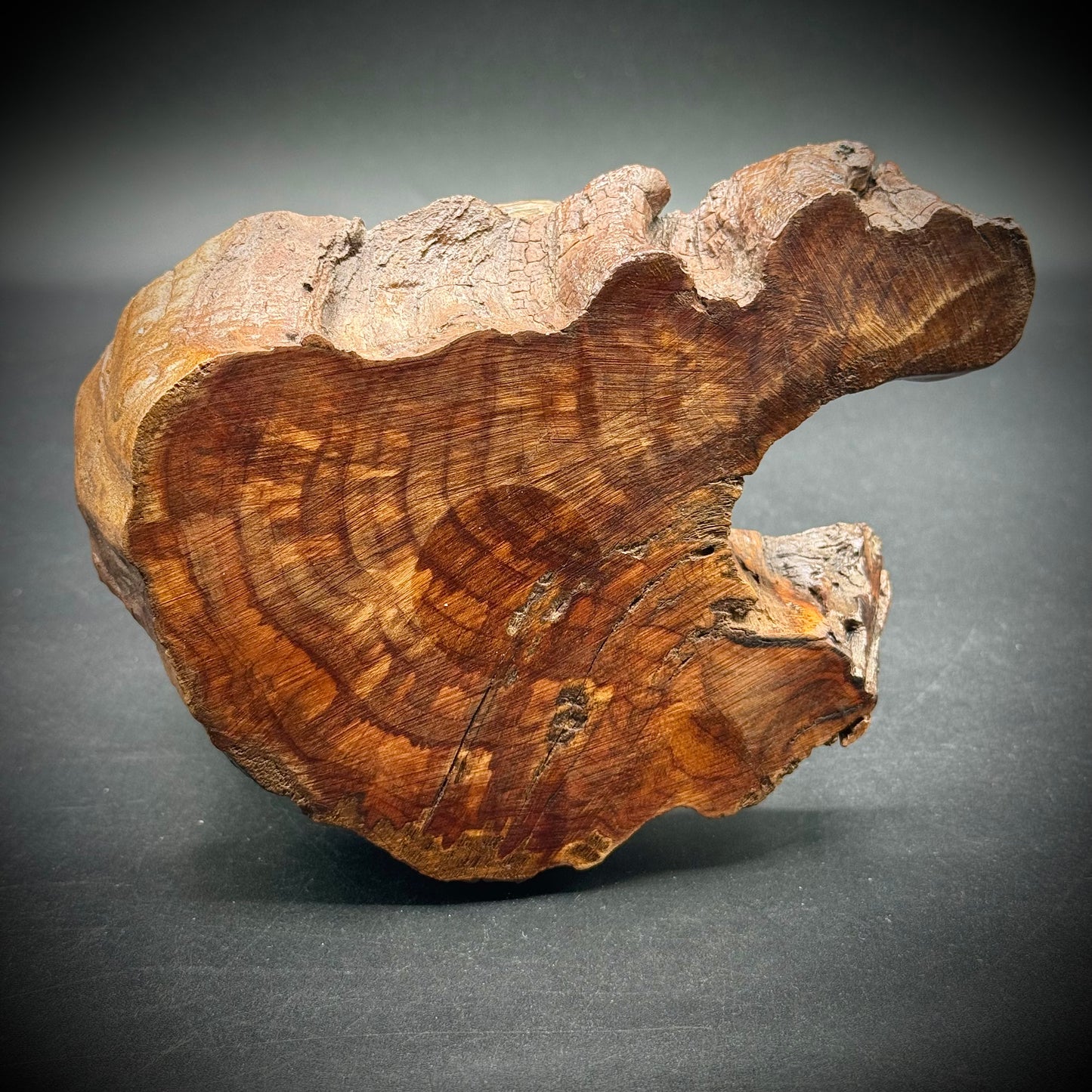 Vintage Hand Carved Prairie Dog