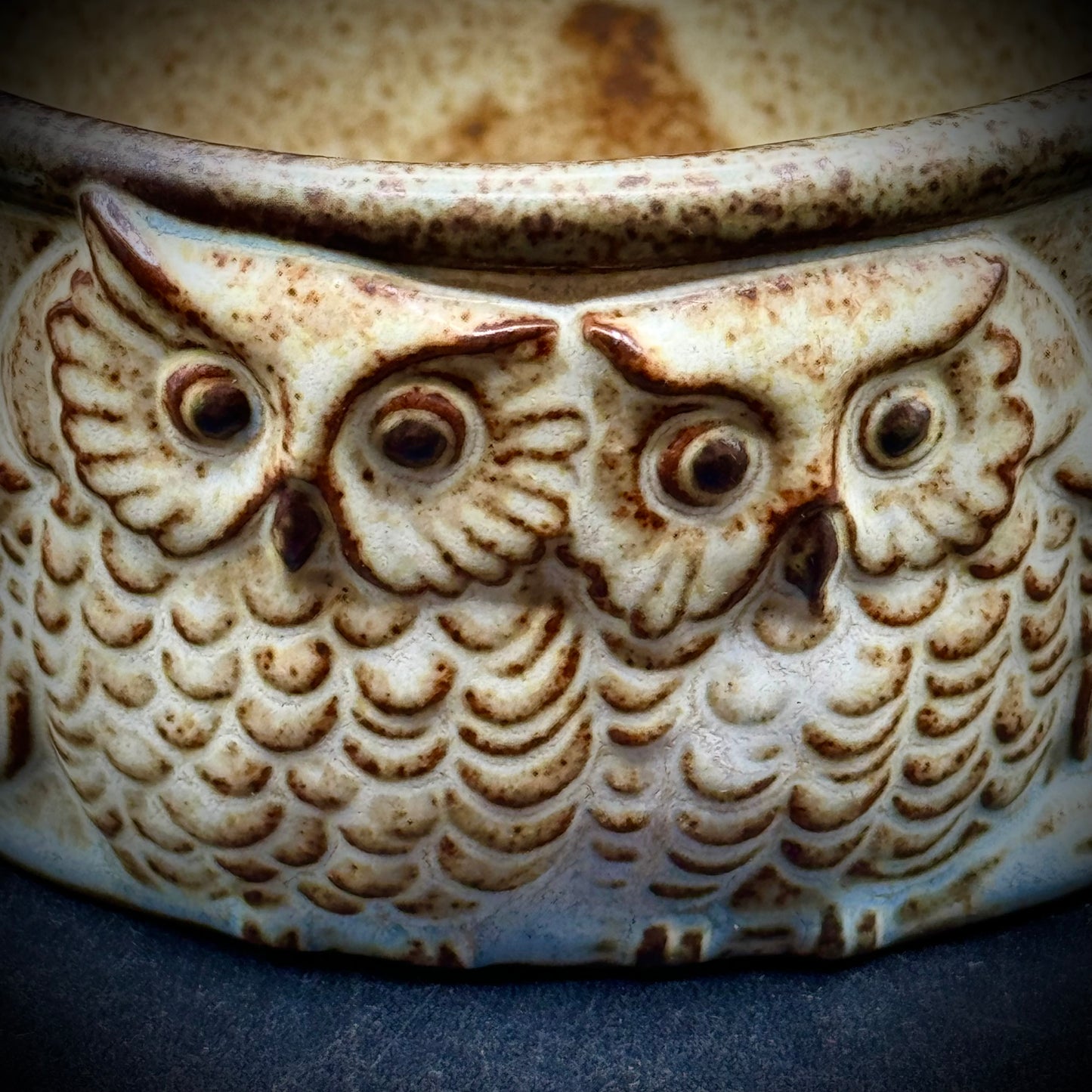 Vintage Ceramic Owl Soup Mug