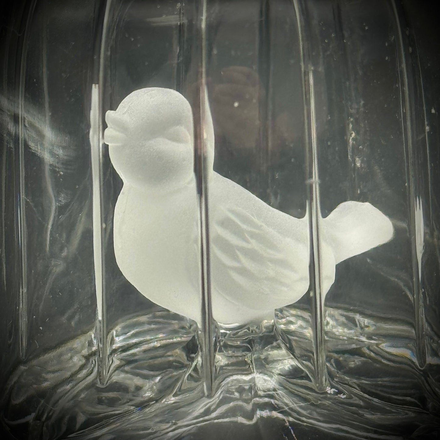 Vintage Hofbauer Byrdes Series Crystal Glass Bird in Domed Cage