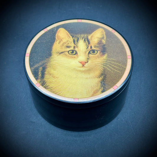 Adorable Cat Music Box Plays "La Vie En Rose"