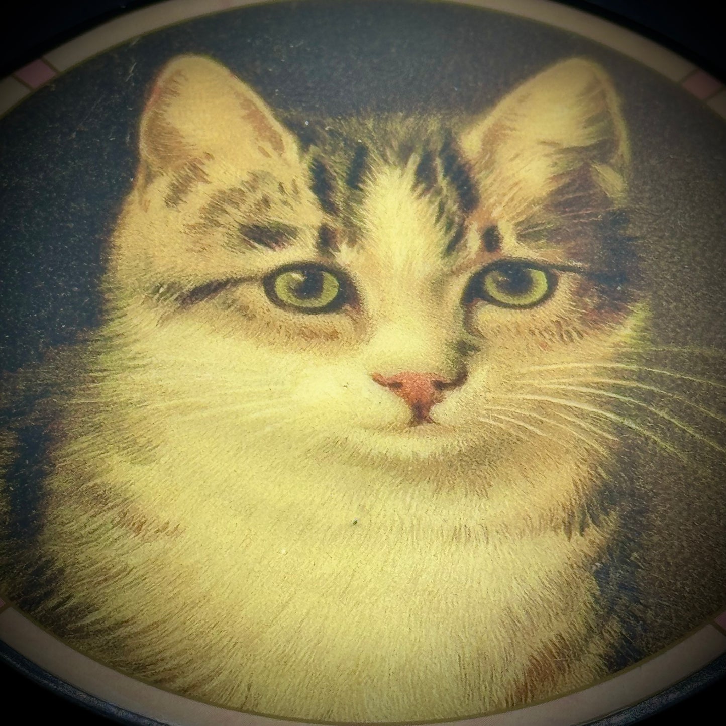 Adorable Cat Music Box Plays "La Vie En Rose"