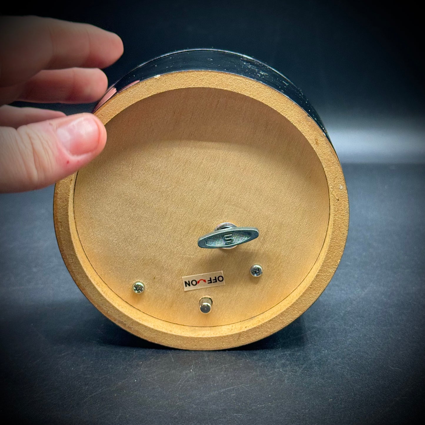 Adorable Cat Music Box Plays "La Vie En Rose"