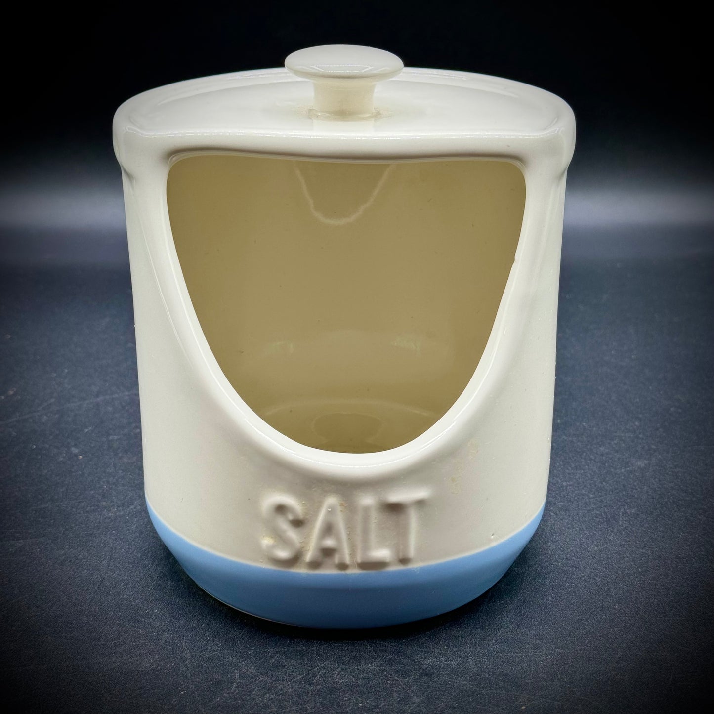 Mason Cash Salt Pig