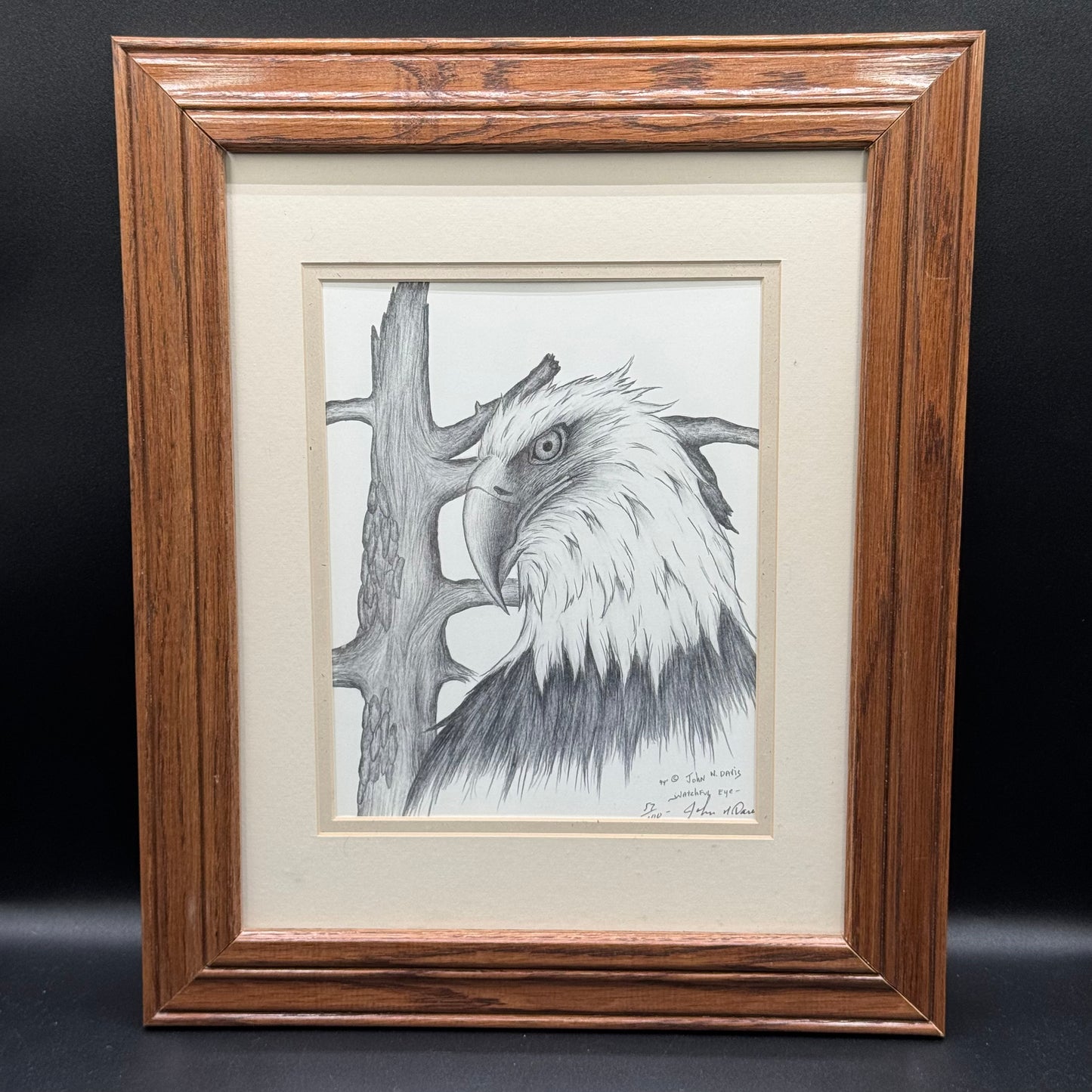 Signed John N. Davis "Watchful Eye" Stunning Framed Eagle Art #057/110
