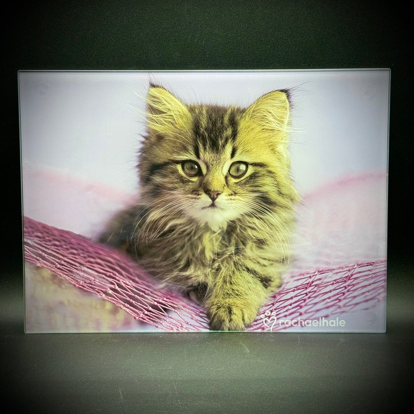 Adorable Rachel Hale "Kitty Cat" Motif Glass Counter Saver/Cutting Board