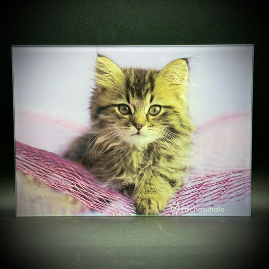 Adorable Rachel Hale "Kitty Cat" Motif Glass Counter Saver/Cutting Board