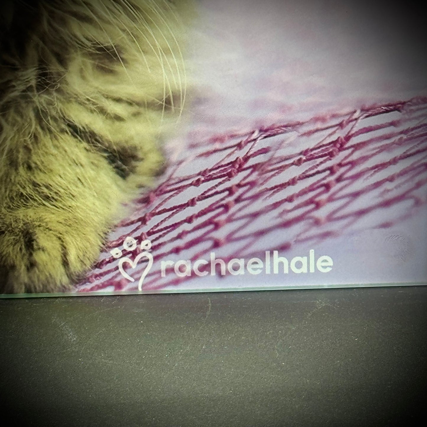 Adorable Rachel Hale "Kitty Cat" Motif Glass Counter Saver/Cutting Board