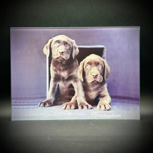 Adorable Rachel Hale "Puppies" Motif Glass Counter Saver/Cutting Board