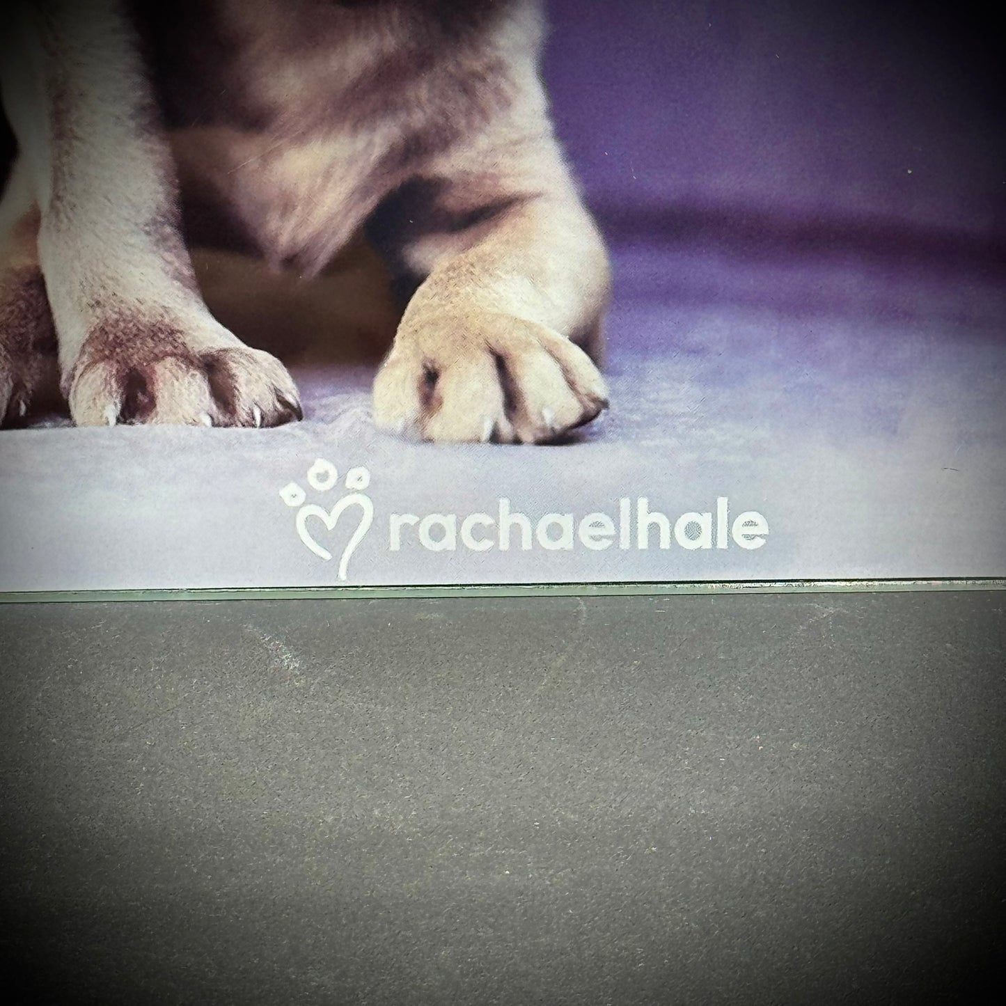 Adorable Rachel Hale "Puppies" Motif Glass Counter Saver/Cutting Board