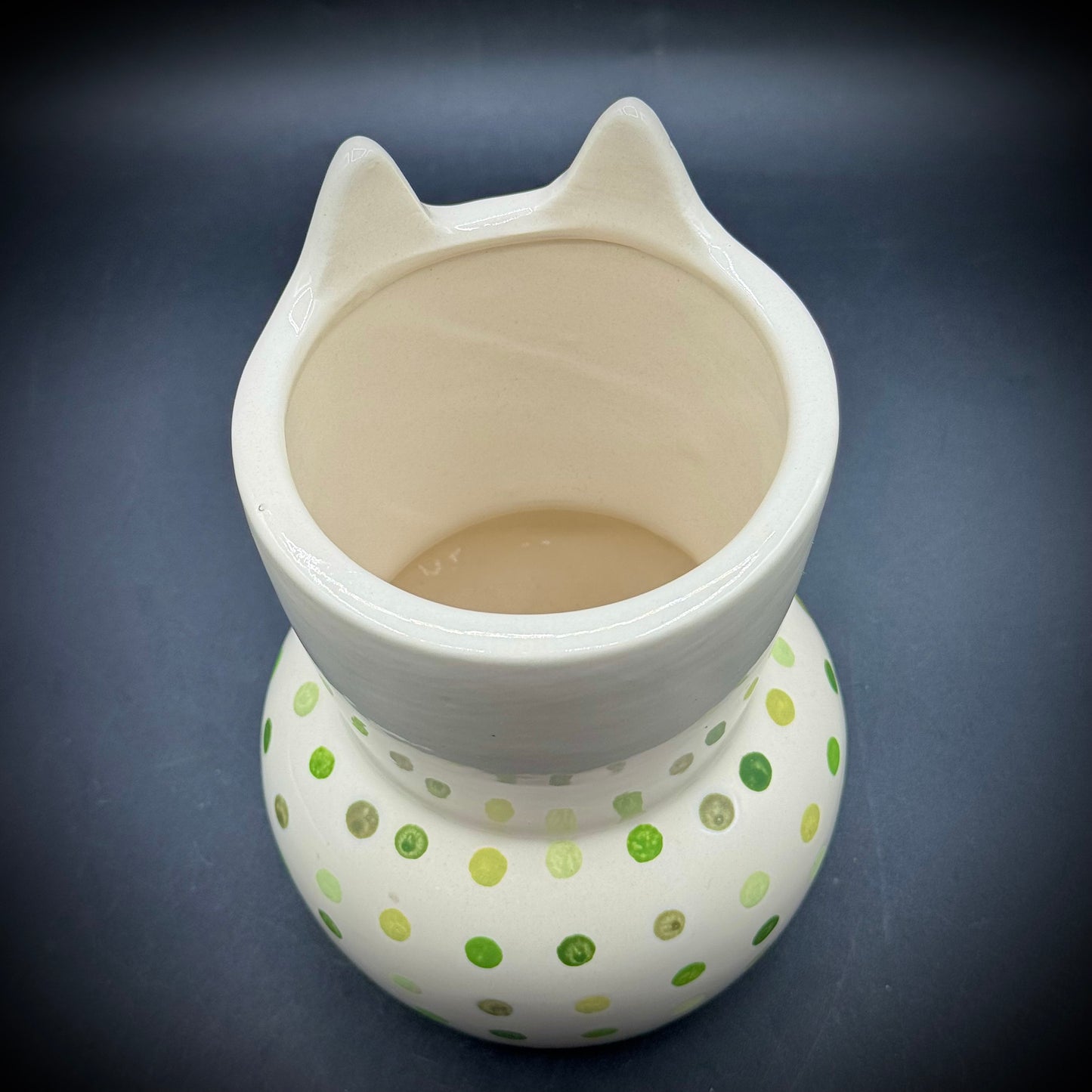 Whimsical Cat Face Planter/Vase