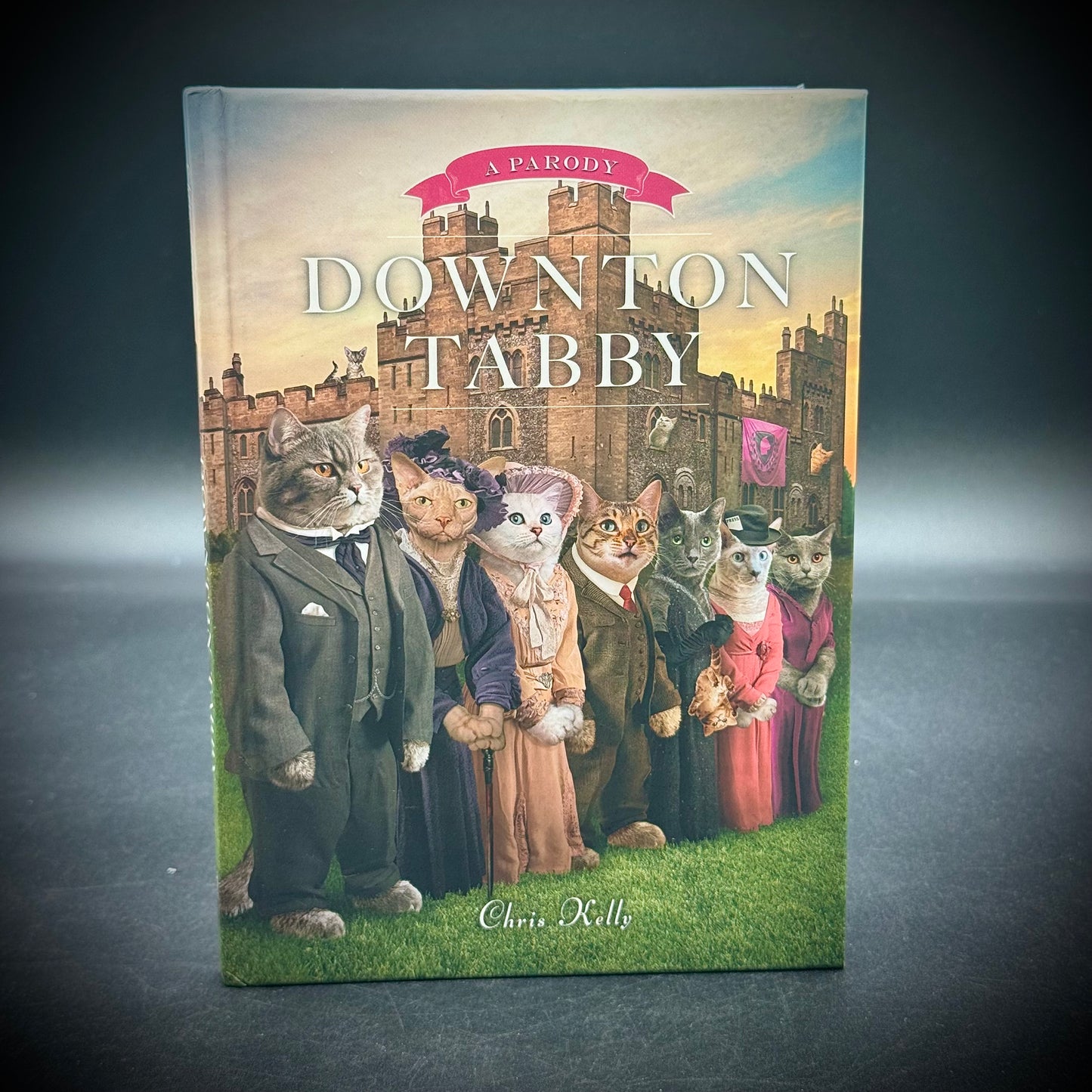 Adorable "Downton Tabby" Cat Book