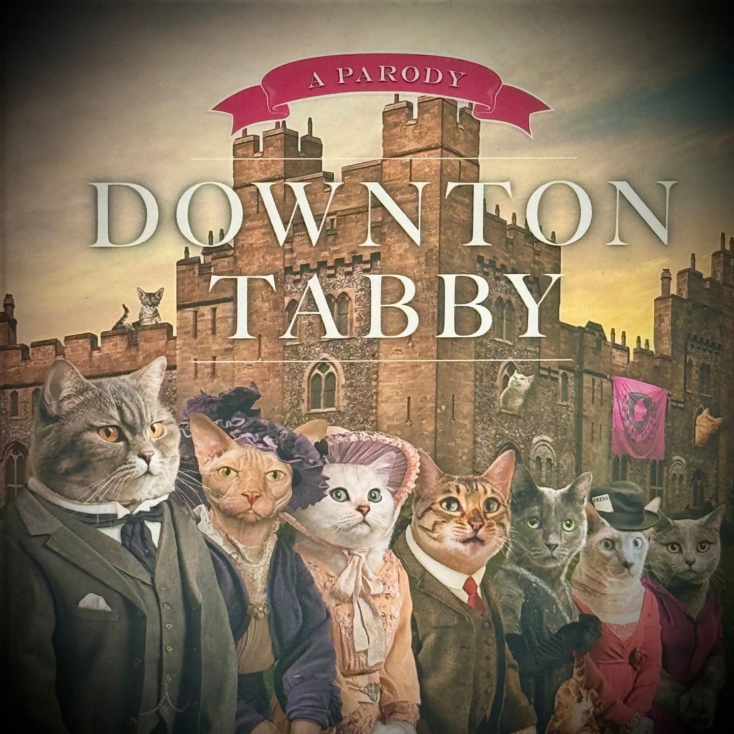 Adorable "Downton Tabby" Cat Book