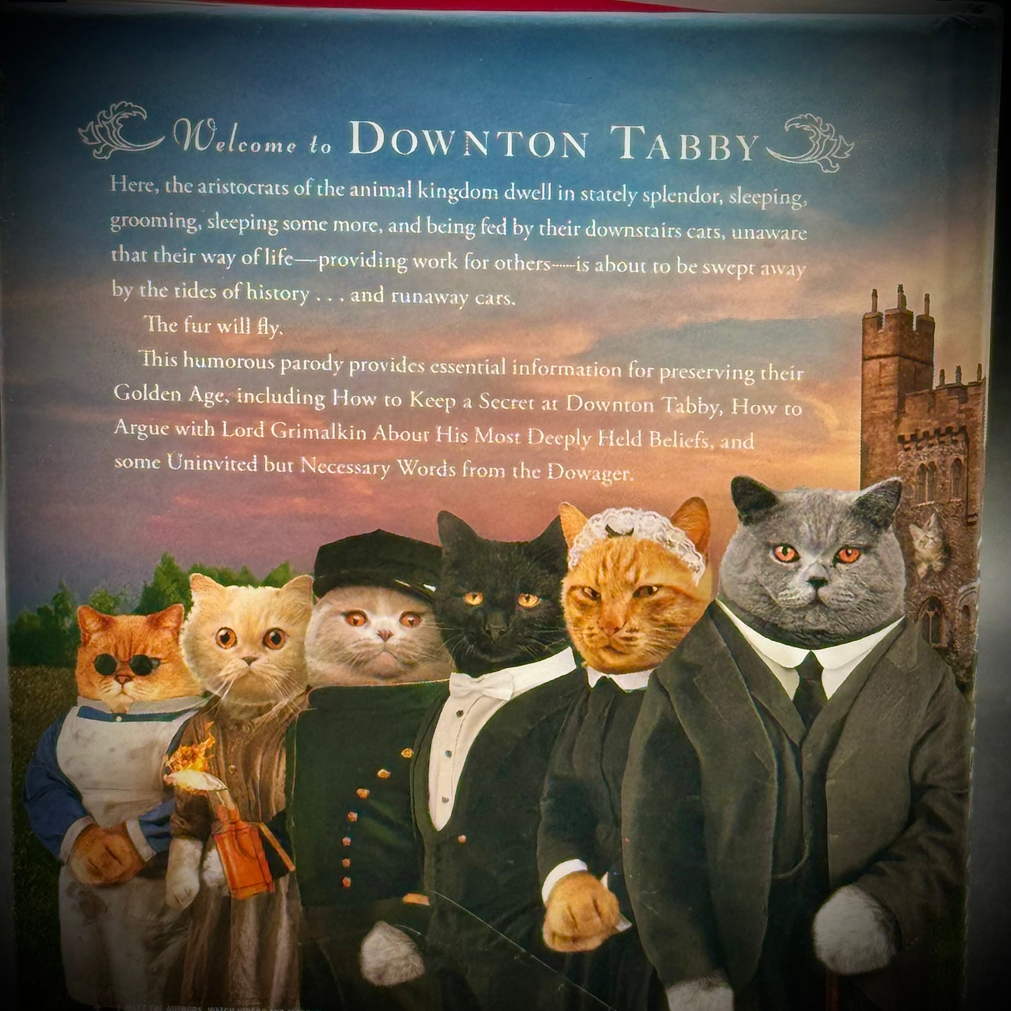 Adorable "Downton Tabby" Cat Book