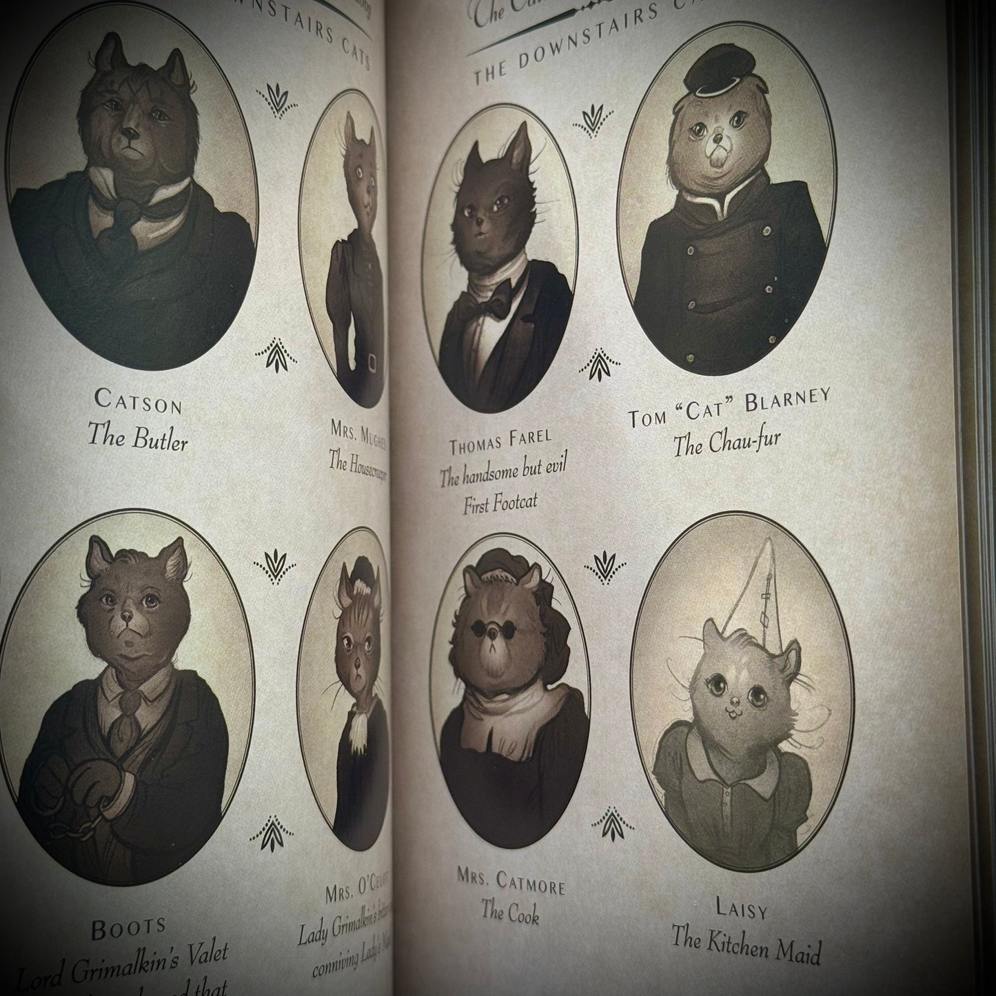 Adorable "Downton Tabby" Cat Book