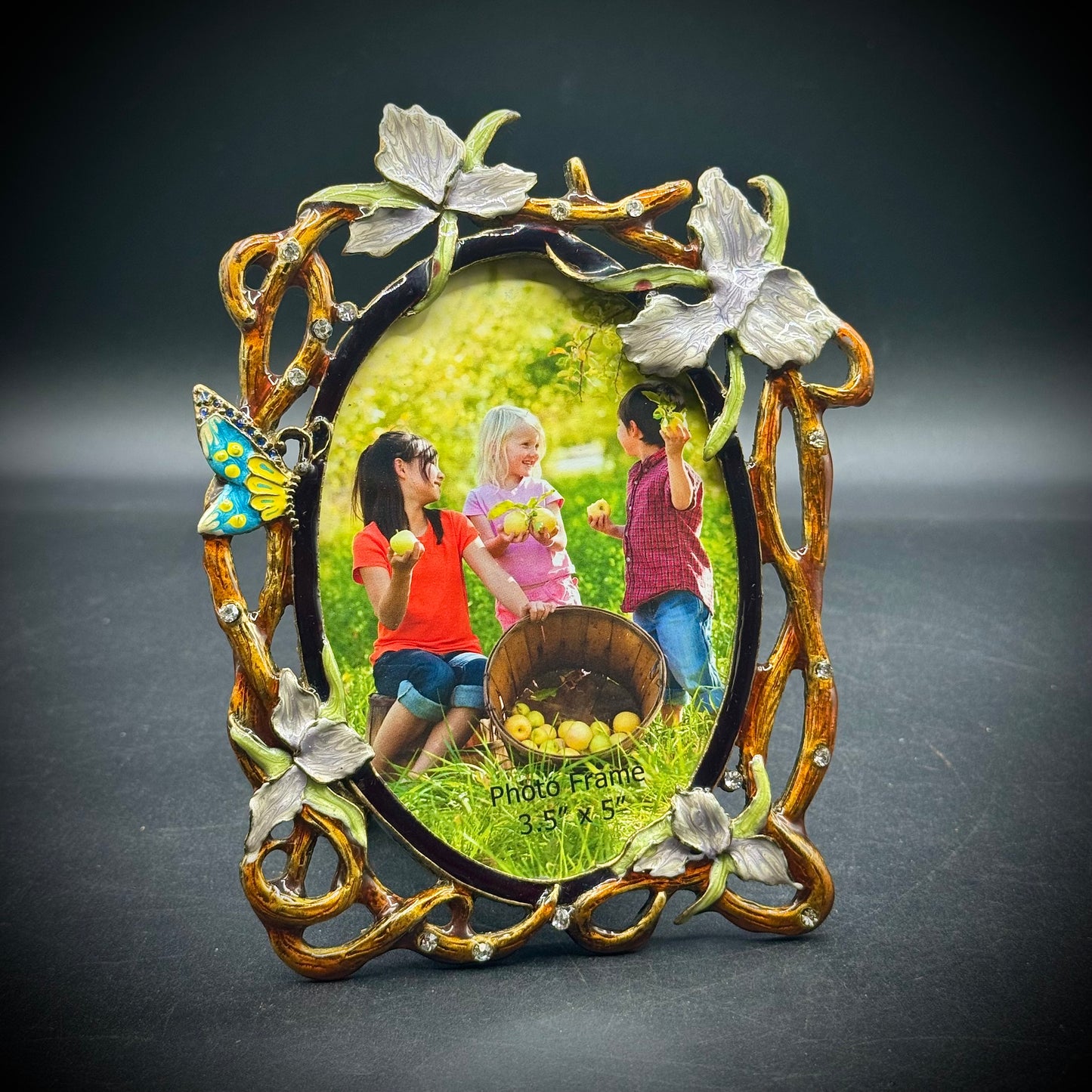 Flower and Butterfly Enamel & Crystal Frame