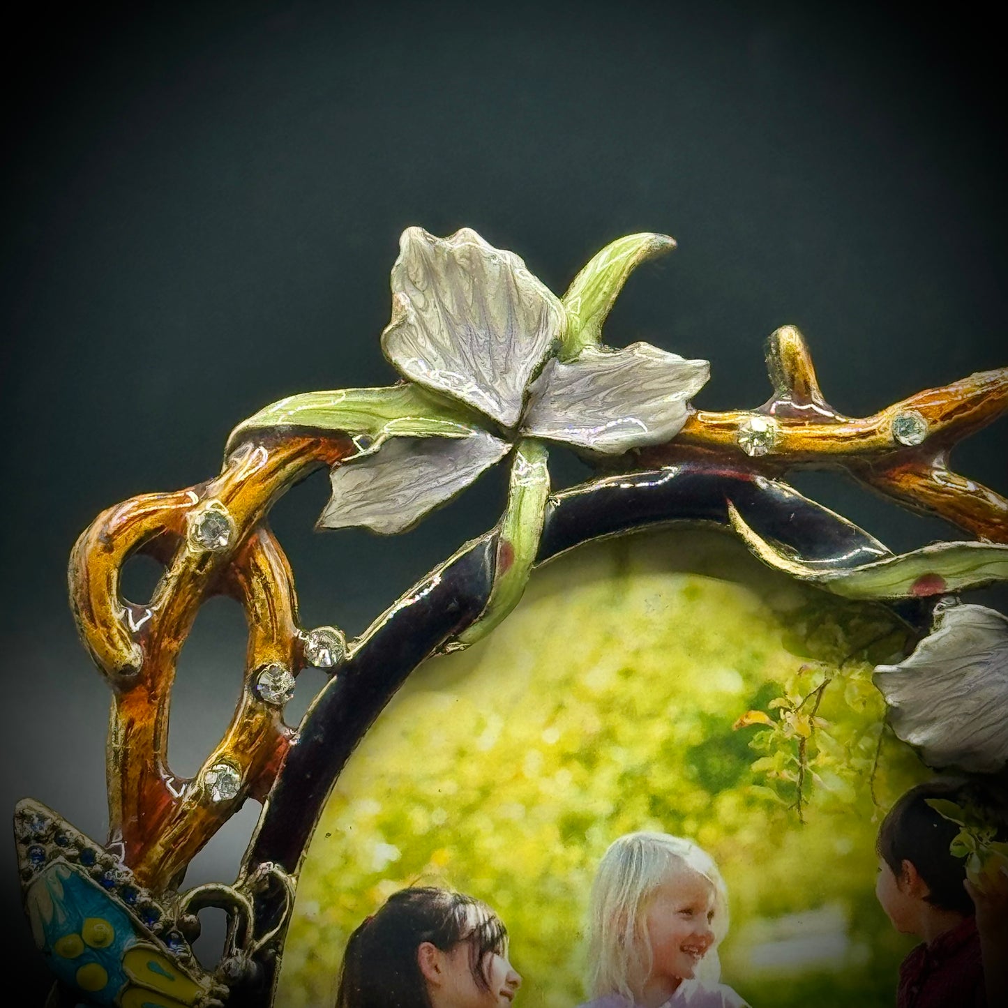 Flower and Butterfly Enamel & Crystal Frame