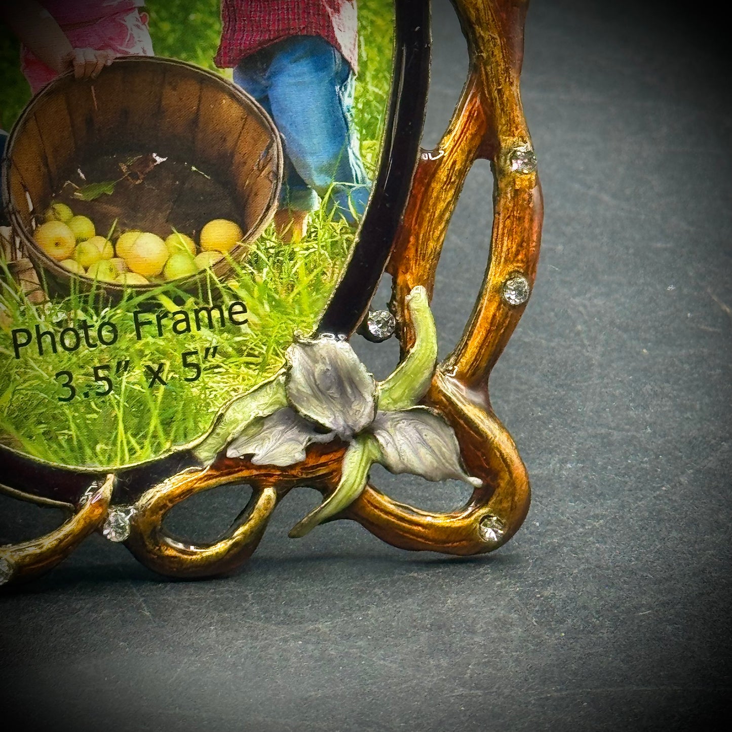 Flower and Butterfly Enamel & Crystal Frame