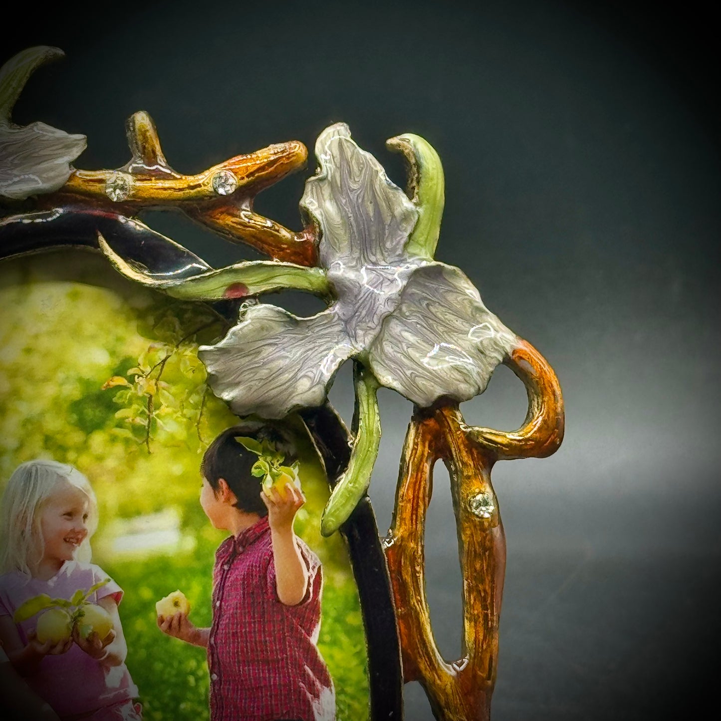 Flower and Butterfly Enamel & Crystal Frame