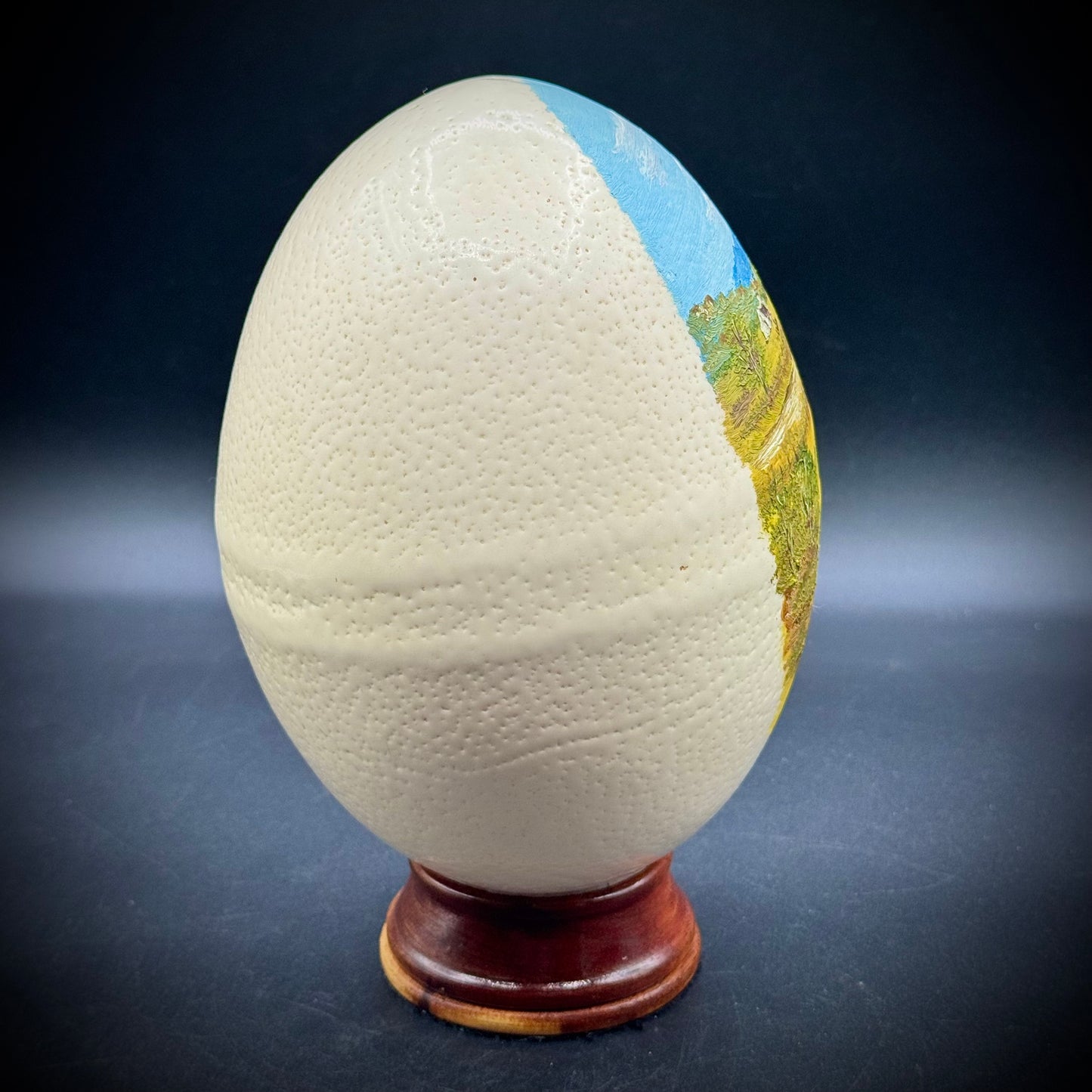 Original Artist Hand Painted South African Ostrich Egg on Wood Base