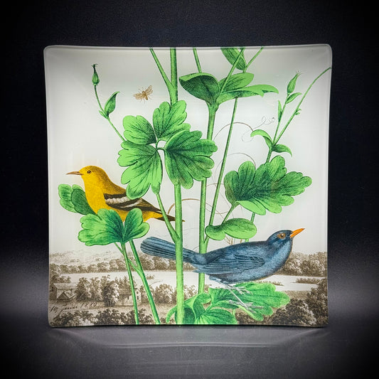Convex Dish with Vintage Bird Design