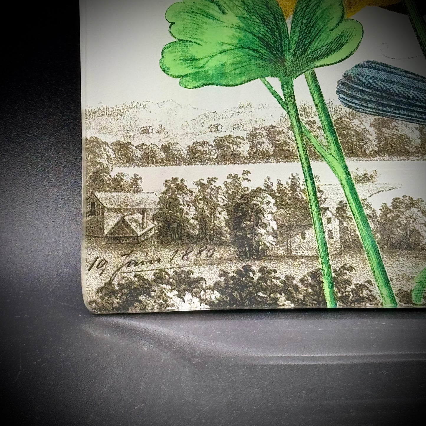 Convex Dish with Vintage Bird Design