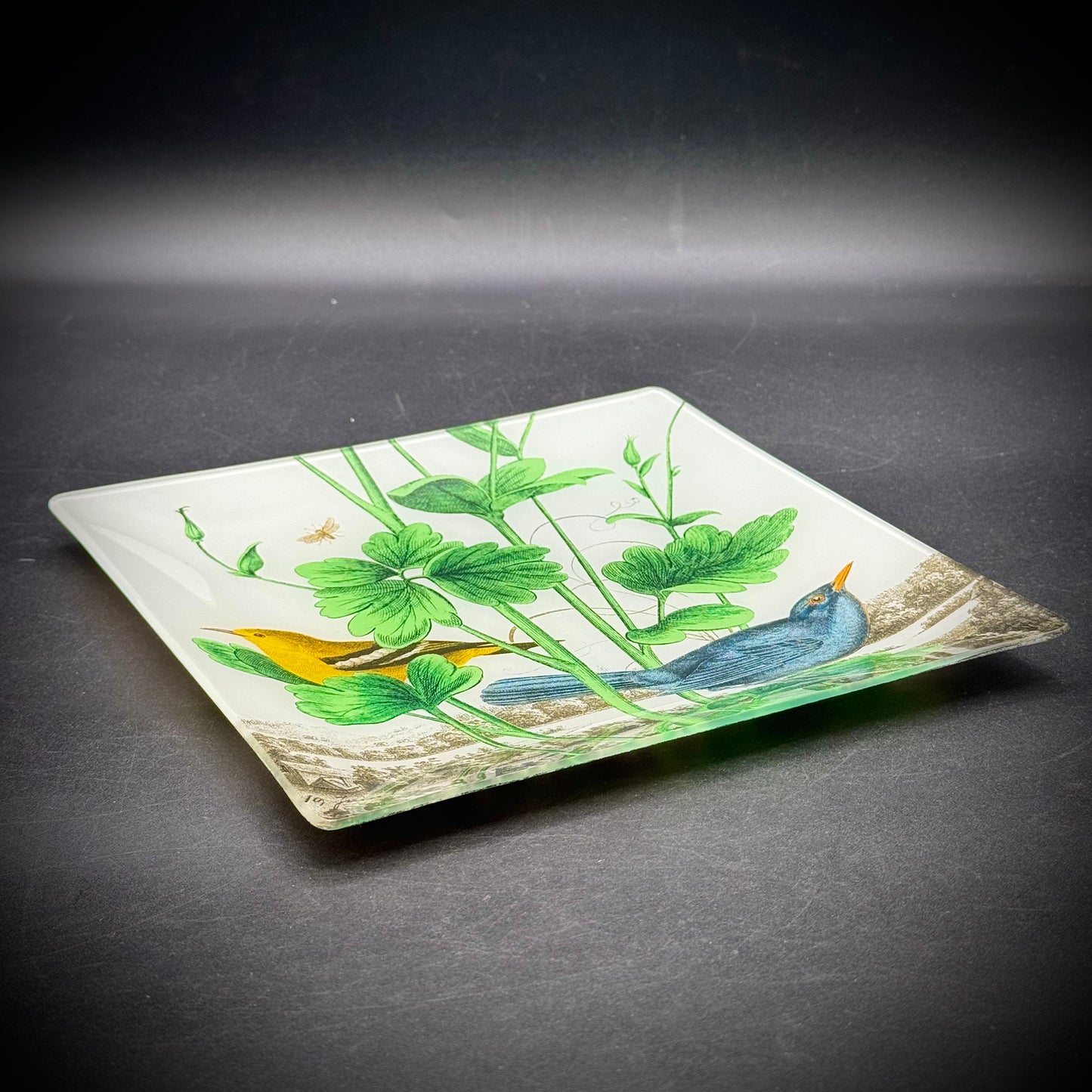 Convex Dish with Vintage Bird Design