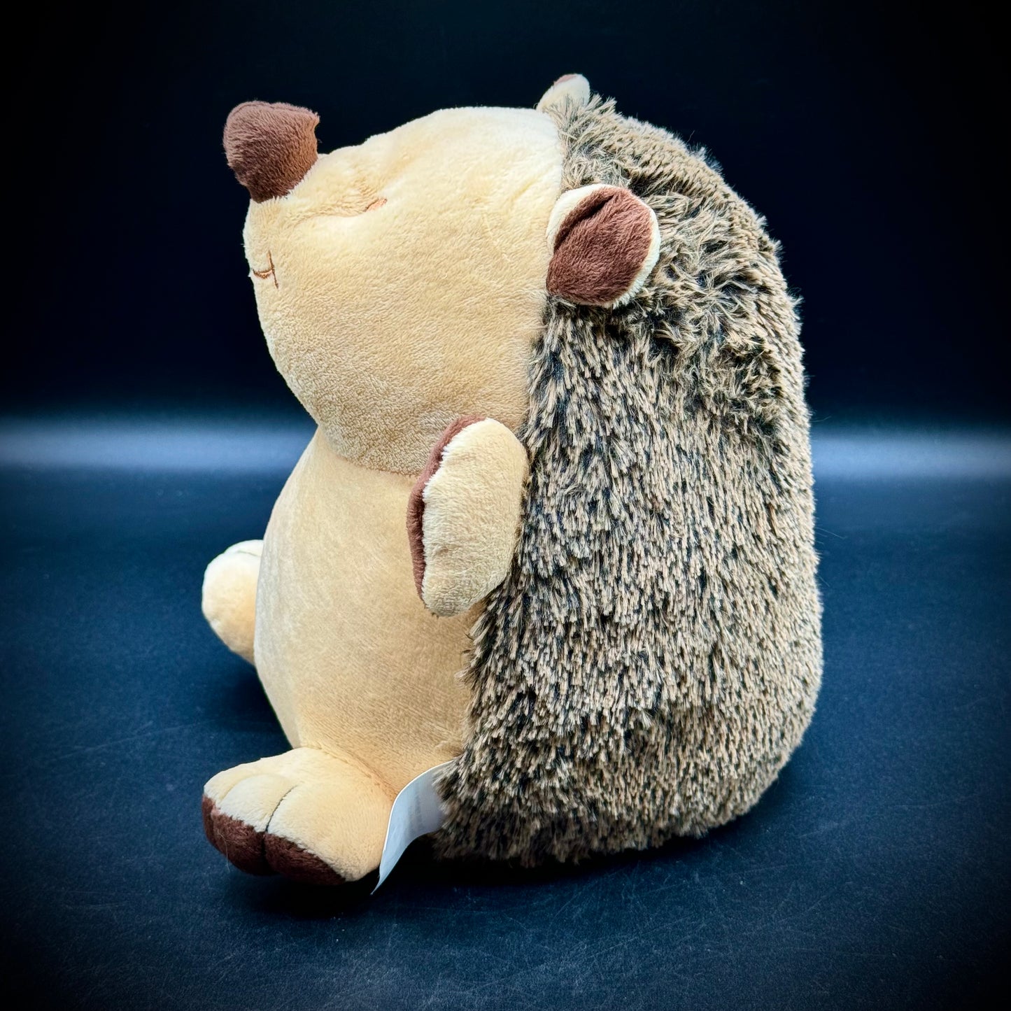 New Decorative Hedgehog Doorstop by Lily's Home